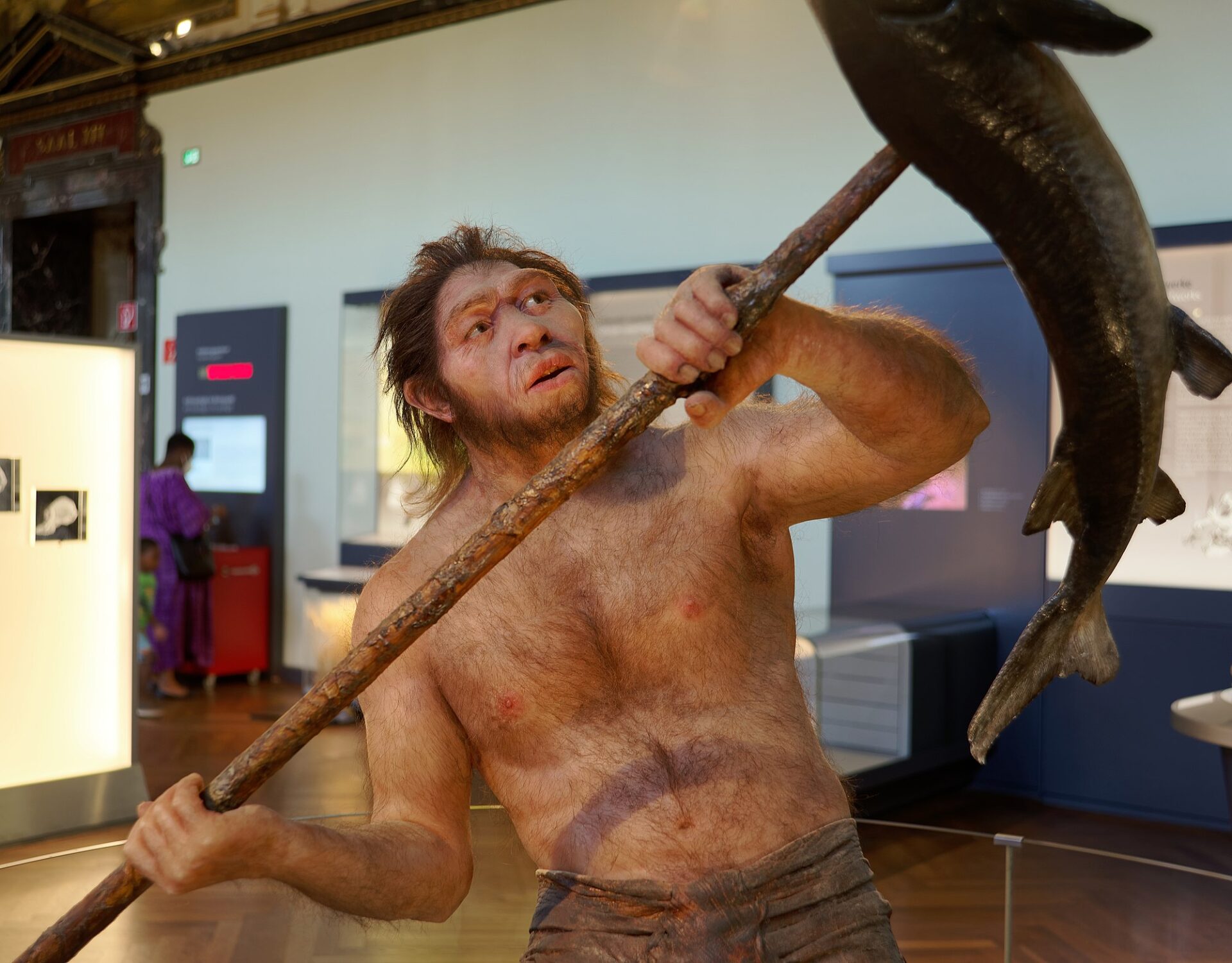A H. Erectus spearing a fish. Credit- Wikimedia Commons User: Jakub Hałun