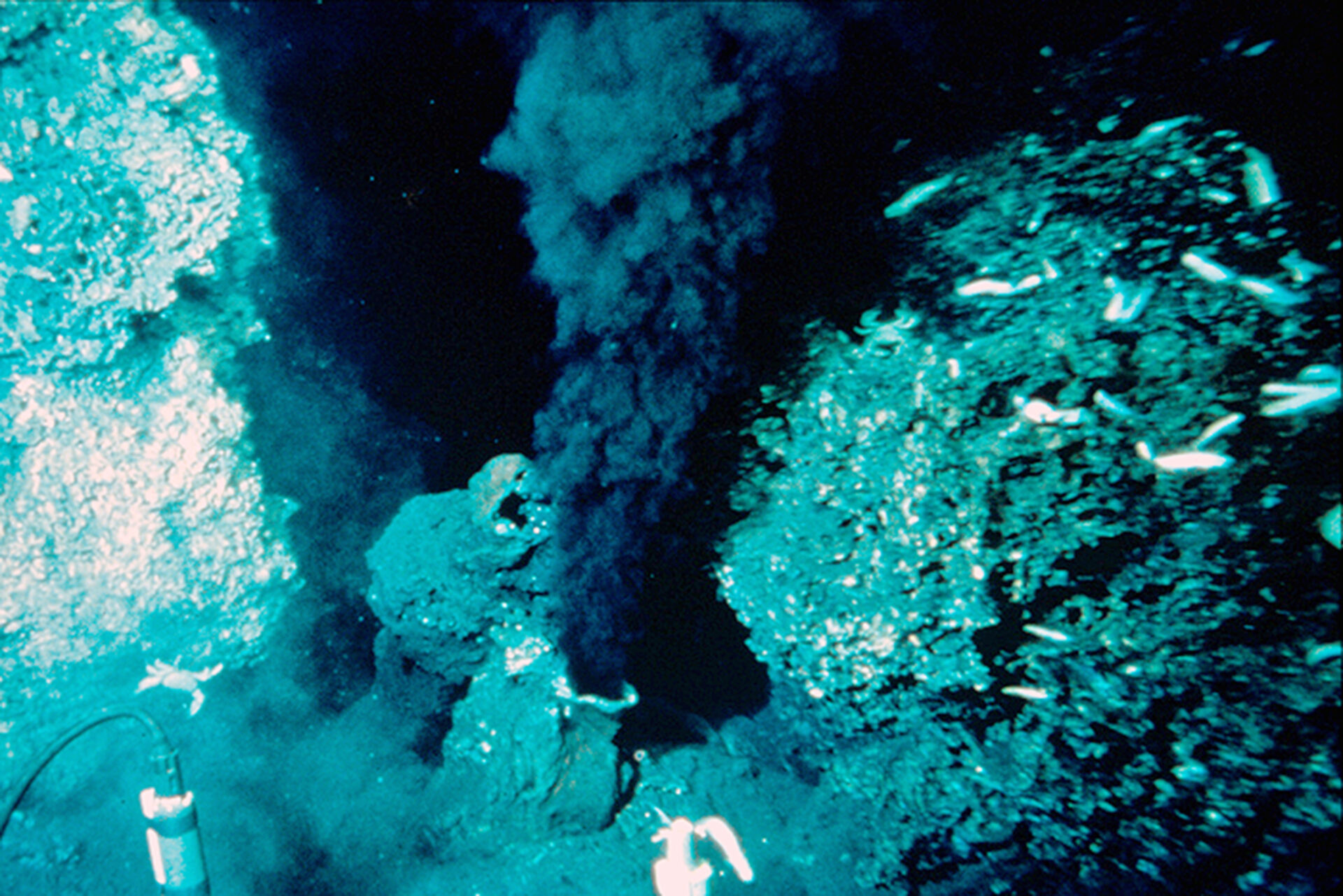 Base of a "black smoker" hydrothermal chimney on the East Pacific Rise, spewing dark, mineral-rich fluid.