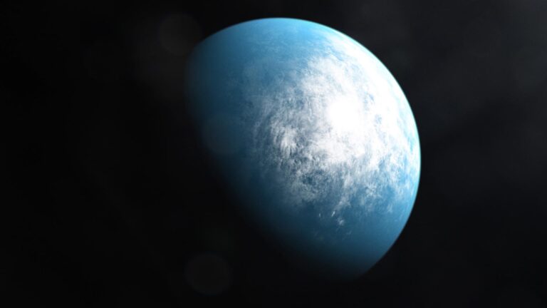 TOI-700 e TESS discovery - Artist illustration of the TOI-700 system