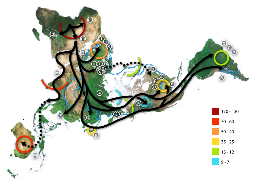 World map of prehistoric human migration routes showing the dispersal of modern humans out of Africa, with routes into Europe, Asia, and the Americas where they encountered Neanderthals and Denisovans