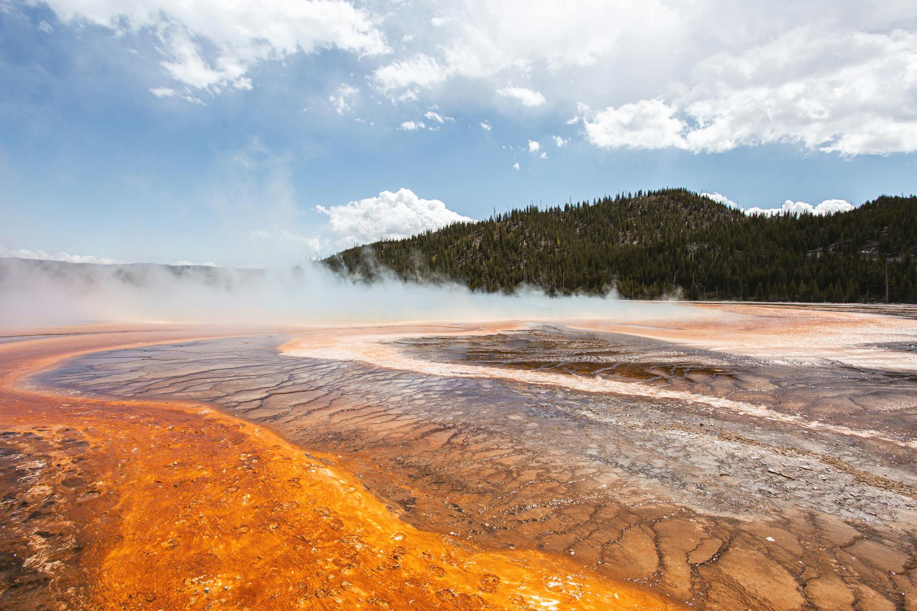 extremophiles and the limits of life