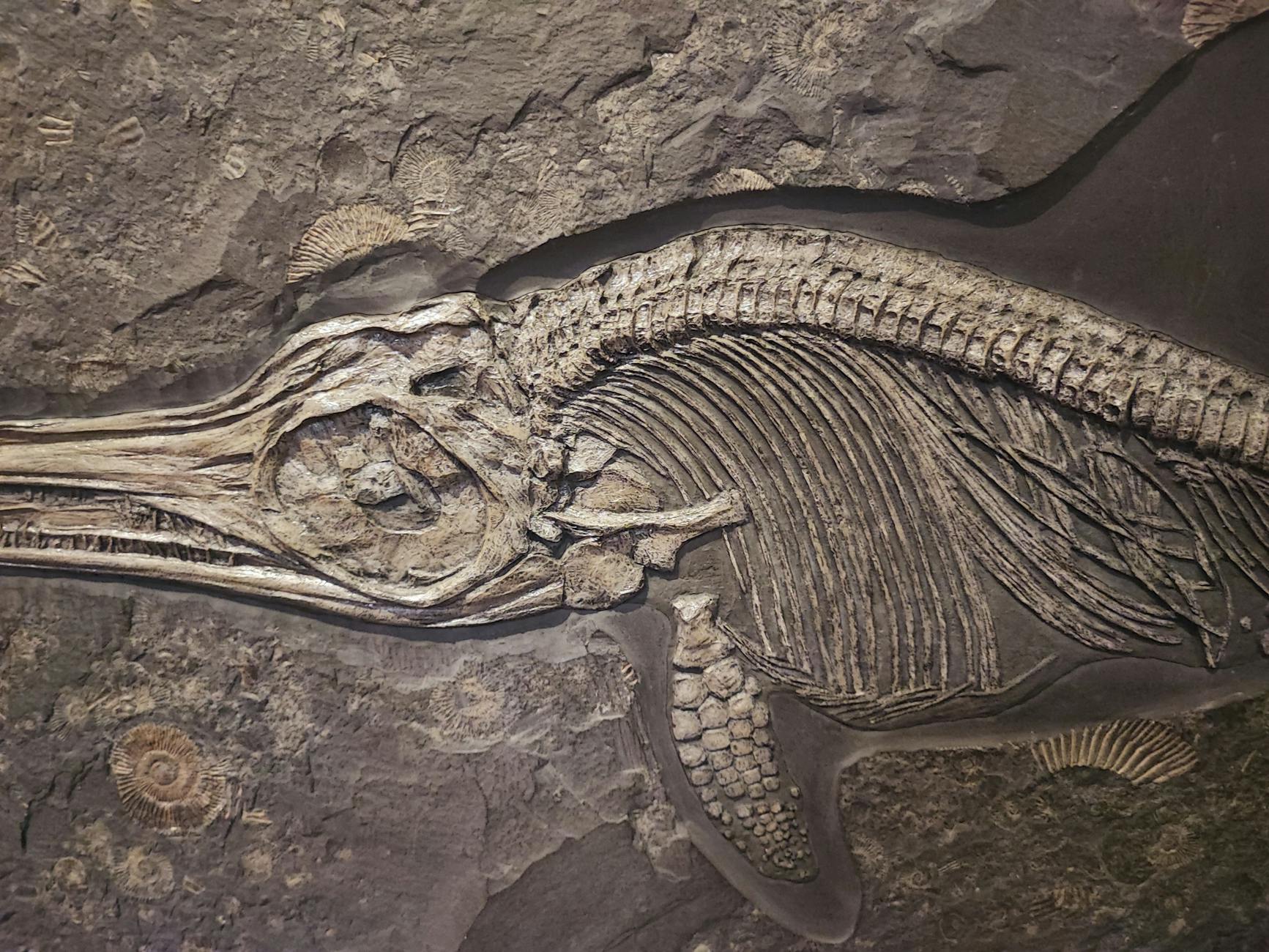 An artist's reconstruction of Cambrian ocean life, illustrating what triggered the Cambrian explosion and the burst of bizarre, diverse early animals it produced.