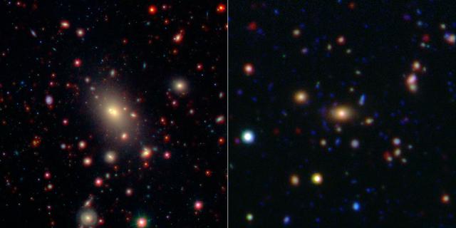 Hubble image of the brightest galaxy in a massive galaxy cluster