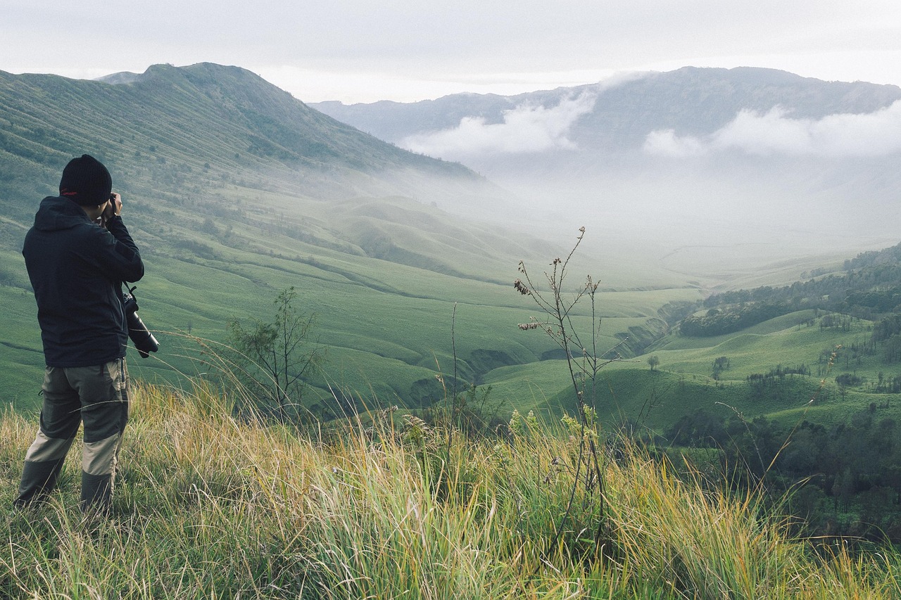 Why do we sleep: a landscape at dawn evokes the day-night cycle that shaped the evolution of sleep