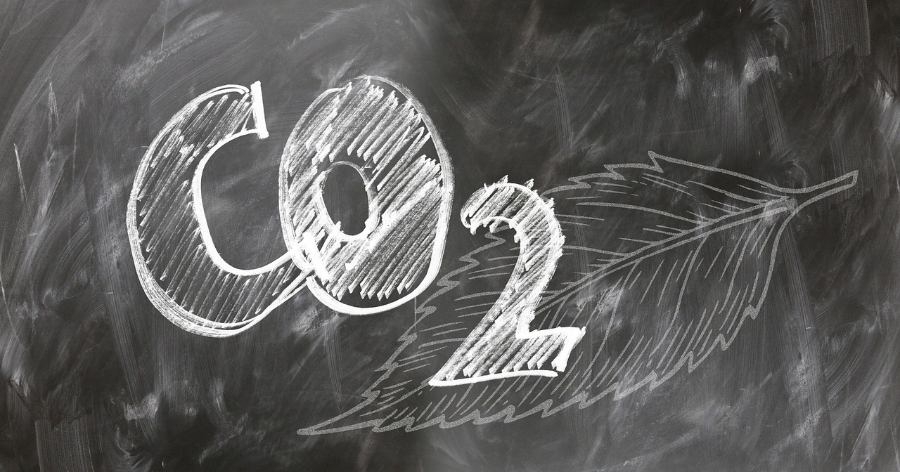 how does carbon dating work