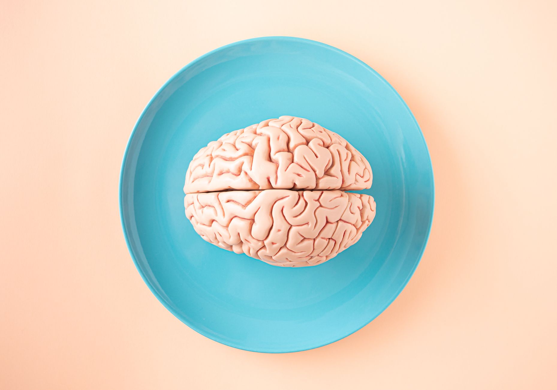 A visualization of the amygdala and limbic system, the brain structures that amplify memory consolidation during emotionally significant events.