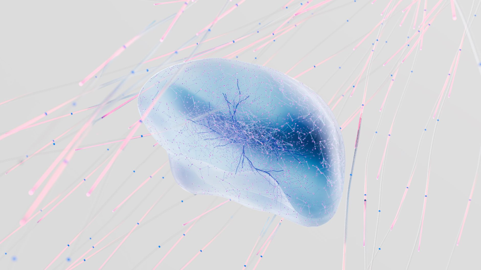 Microscopic view of neurons and synaptic connections in the brain, the cellular basis of memory storage via long-term potentiation.