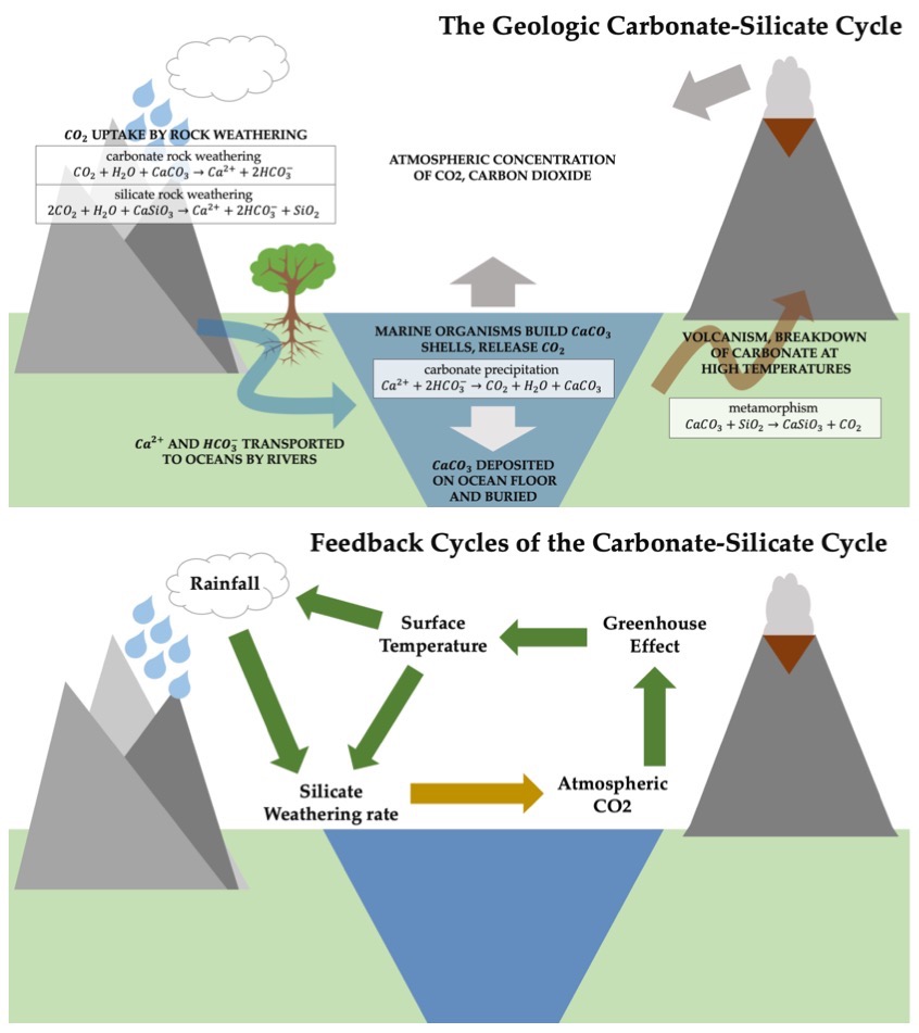 Diagram of the carbonate-silicate cycle feedbacks that act as Earth's planetary thermostat