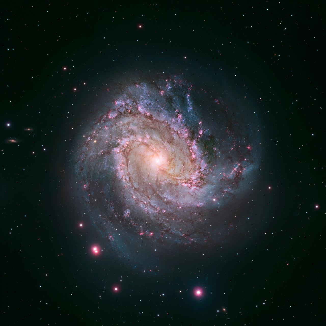 Spiral galaxy M83, a face-on galaxy of billions of stars