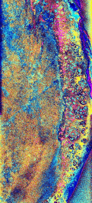 Radar map of the buried Chicxulub impact crater on Mexico's Yucatan Peninsula