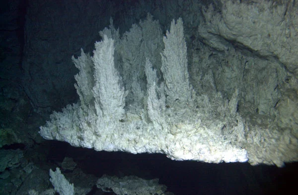 Carbonate chimneys at the Lost City hydrothermal field, a candidate environment for abiogenesis
