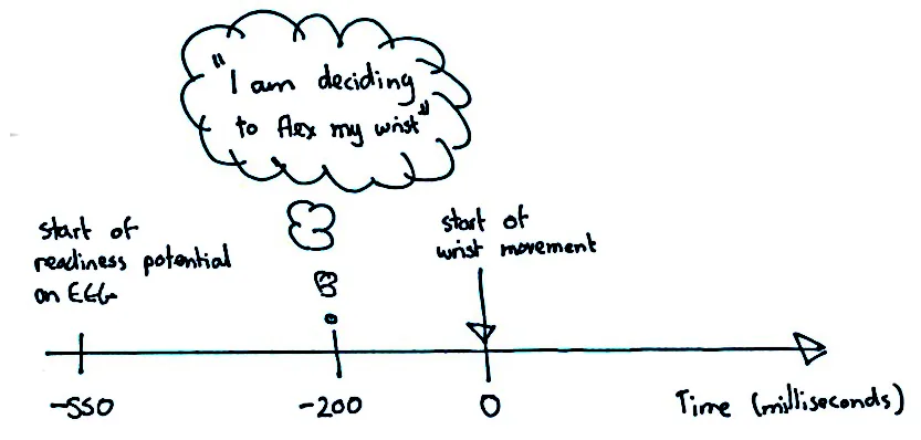 Timeline of the Libet experiment showing the readiness potential beginning before conscious awareness of the decision to move, central to the free will debate