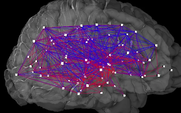 Integrated Information Theory: Is Consciousness Just a Number?