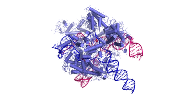 The CRISPR-Cas9 gene-editing system