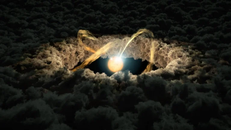 A protoplanetary disk of gas and dust around a young star
