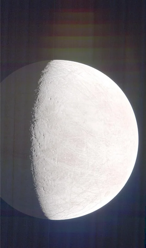 Inside Ocean Worlds: How Internal Structures Affect Habitability on Icy Moons