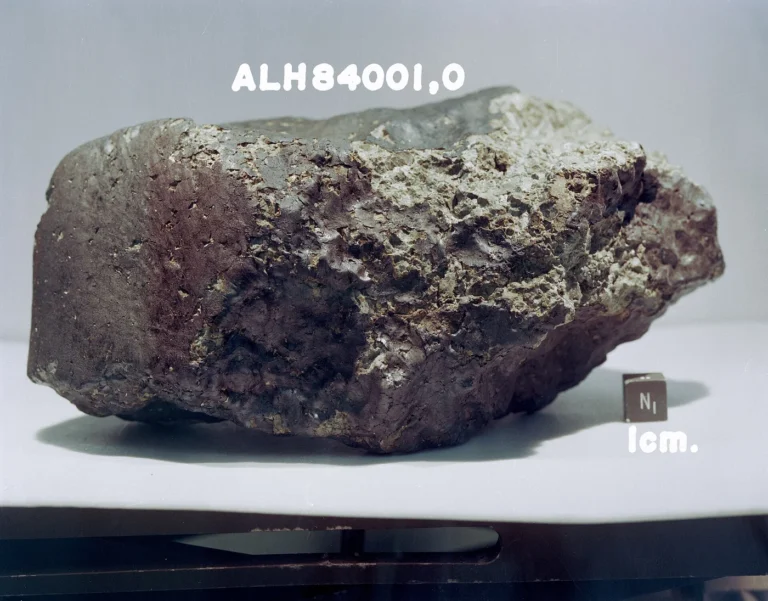 Martian meteorite ALH84001, a rock blasted off Mars and recovered in Antarctica, central to the lithopanspermia debate