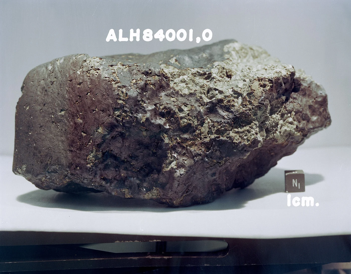 Martian meteorite ALH84001, a rock blasted off Mars and recovered in Antarctica, central to the lithopanspermia debate