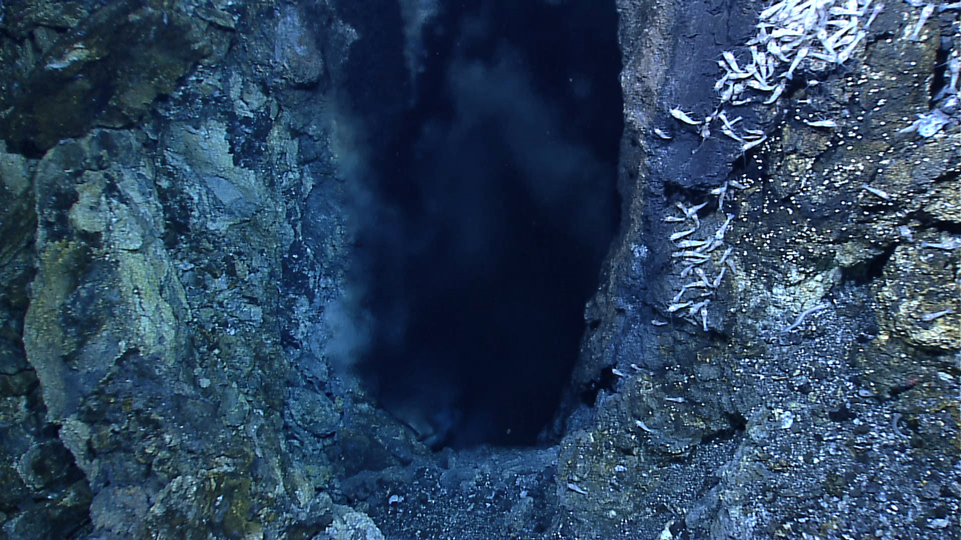 Hydrothermal Vents and the Origin of Life: Why Alkaline Vents Are Strong Candidates for Abiogenesis